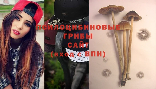 эйфоретик Сафоново