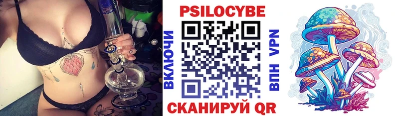 Галлюциногенные грибы Psilocybine cubensis Шарыпово
