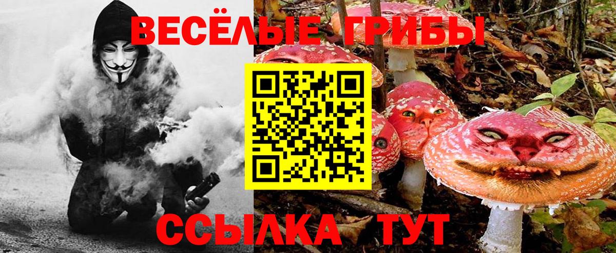 Псилоцибиновые грибы Psilocybine cubensis Шарыпово